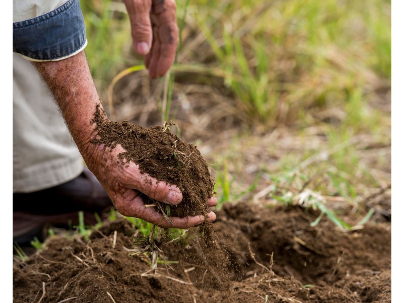 0 Dalmere Road, Leyburn QLD 4365