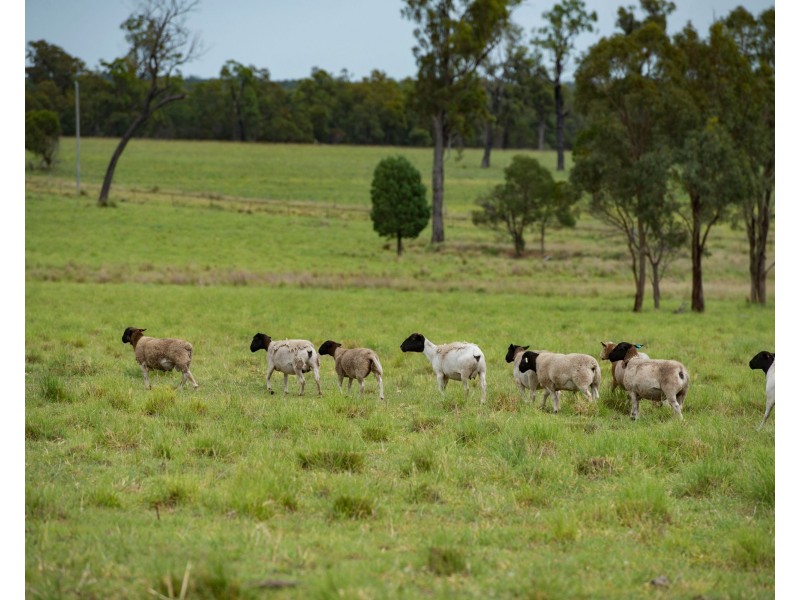0 Dalmere Road, Leyburn QLD 4365