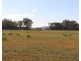 0 Cunningham Highway, Coolmunda QLD 4387