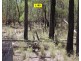 0 Cunningham Highway, Coolmunda QLD 4387