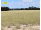 0 Cunningham Highway, Coolmunda QLD 4387