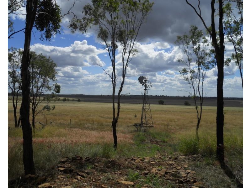 2006 Jondaryan-Mt Tyson Road, Mount Tyson QLD 4356