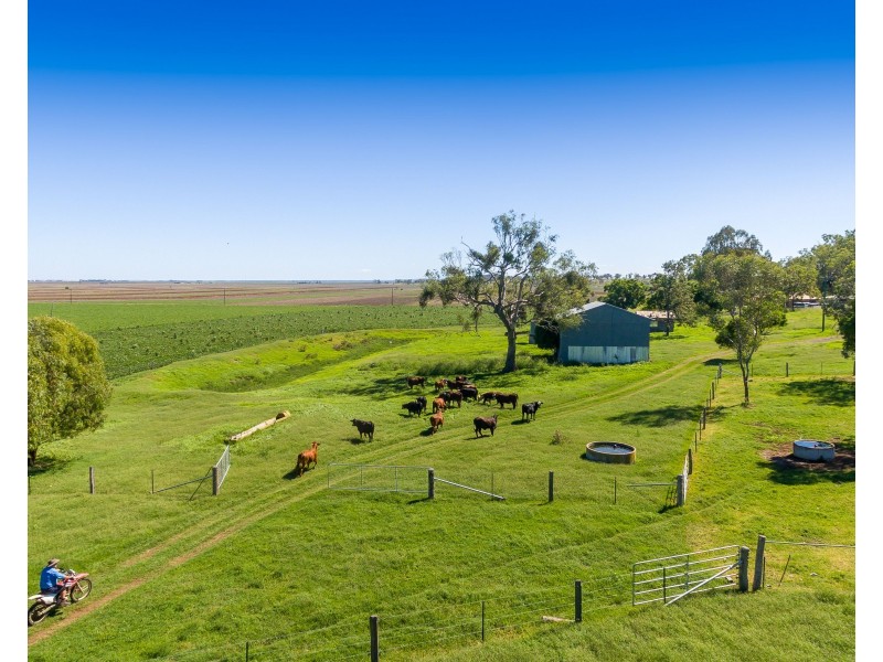 258 Motley Road, Mount Tyson QLD 4356