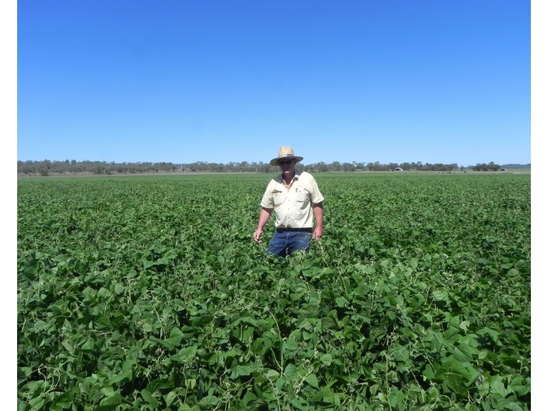 258 Motley Road, Mount Tyson QLD 4356