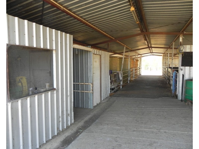1354 Pittsworth-Felton Road, Pittsworth QLD 4356