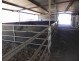 1354 Pittsworth-Felton Road, Pittsworth QLD 4356