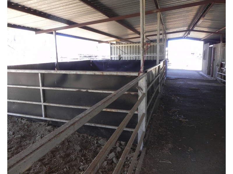 1354 Pittsworth-Felton Road, Pittsworth QLD 4356