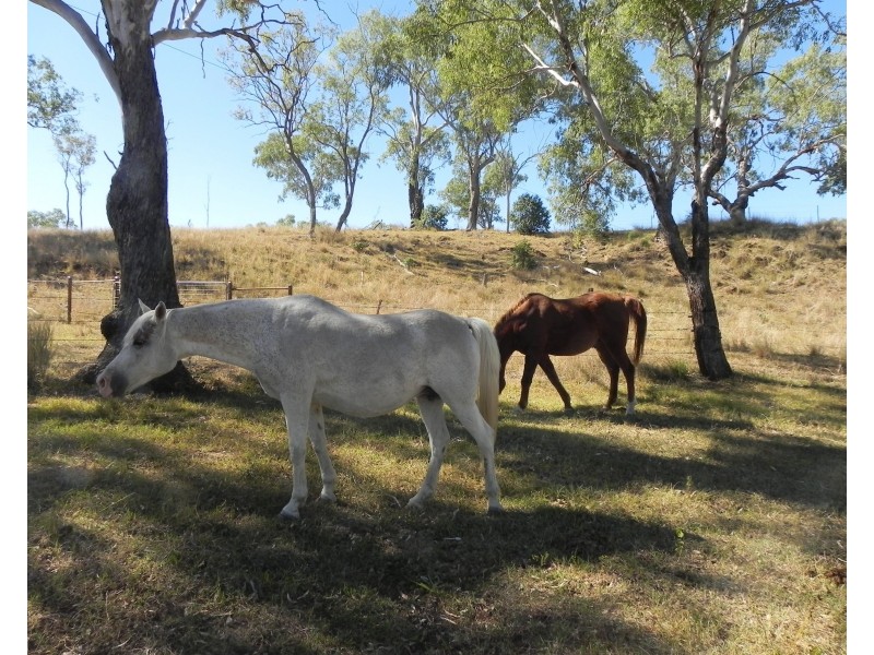 1354 Pittsworth-Felton Road, Pittsworth QLD 4356