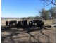 1354 Pittsworth-Felton Road, Pittsworth QLD 4356