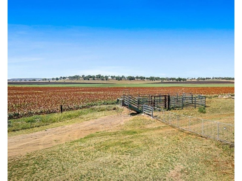 235 Oakey Crosshill Road, Oakey QLD 4401