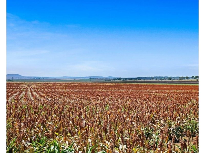 235 Oakey Crosshill Road, Oakey QLD 4401