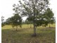 23 Fairway Drive, Pittsworth QLD 4356