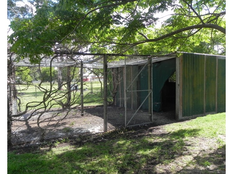 34 Short Street, Pittsworth QLD 4356