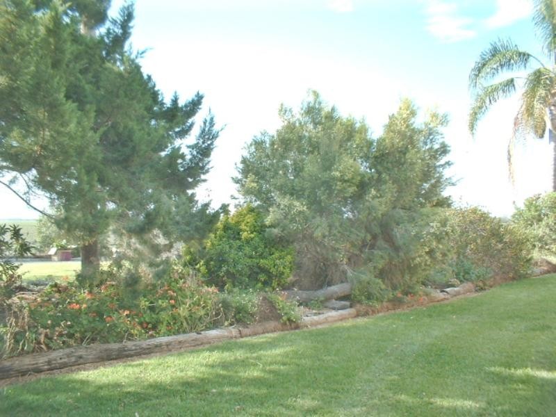 142 Pampas Road, Pittsworth QLD 4356