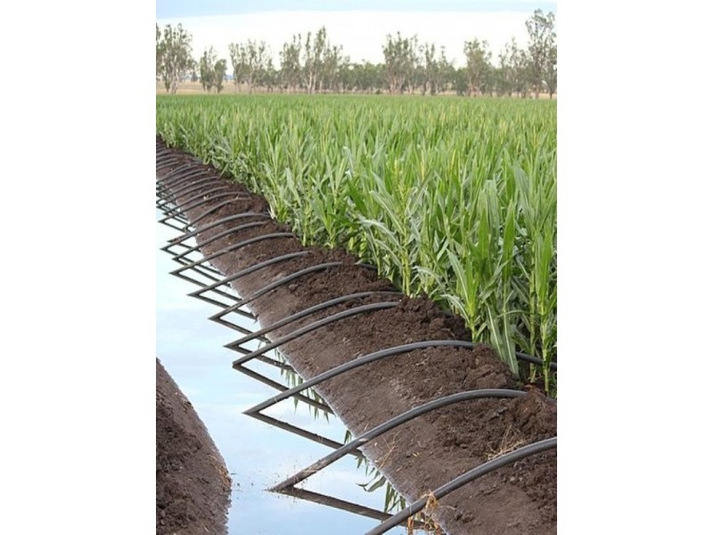 492 Strathane Road, Clifton QLD 4361