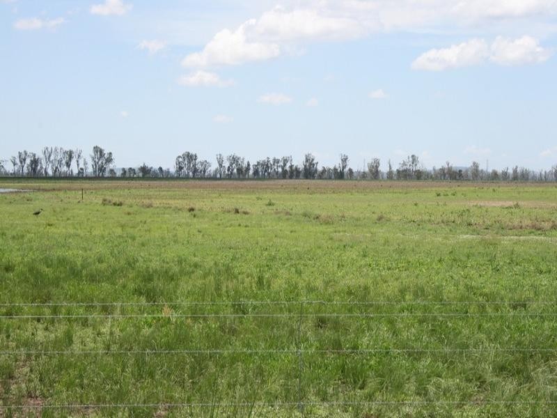 492 Strathane Road, Clifton QLD 4361