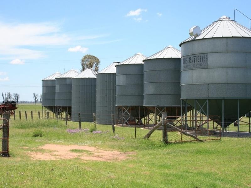 492 Strathane Road, Clifton QLD 4361