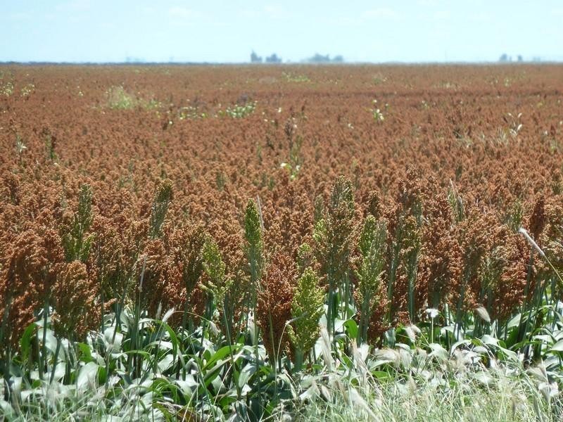 0 F Kents Road, Bongeen QLD 4356