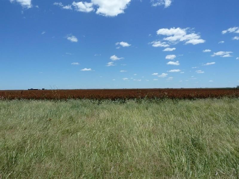 0 F Kents Road, Bongeen QLD 4356