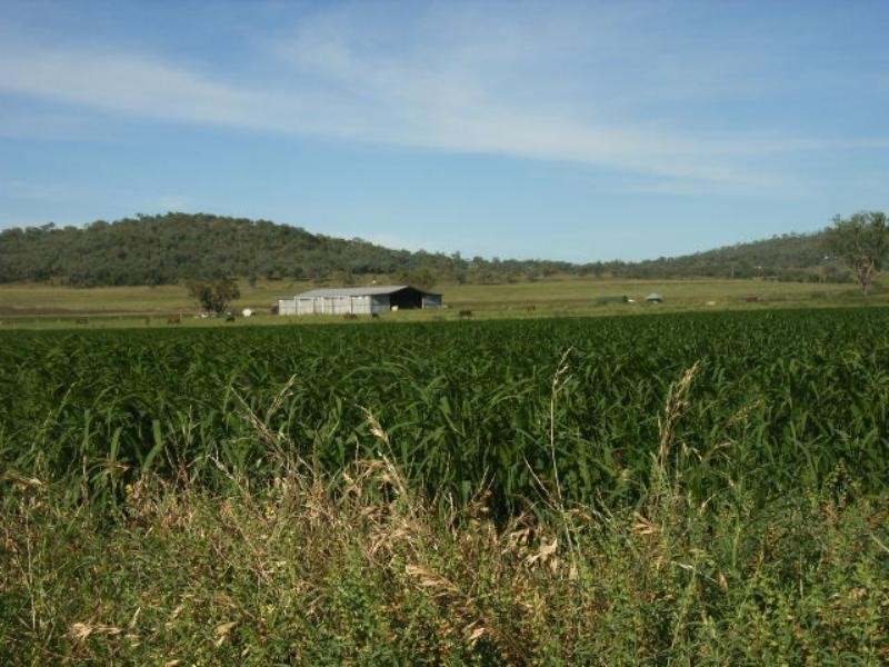 75 Beauaraba Road, Southbrook QLD 4363