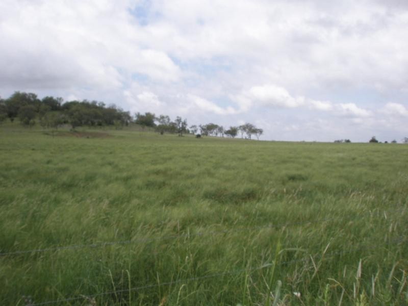 00 Oakey – Pittsworth Road, Oakey QLD 4401