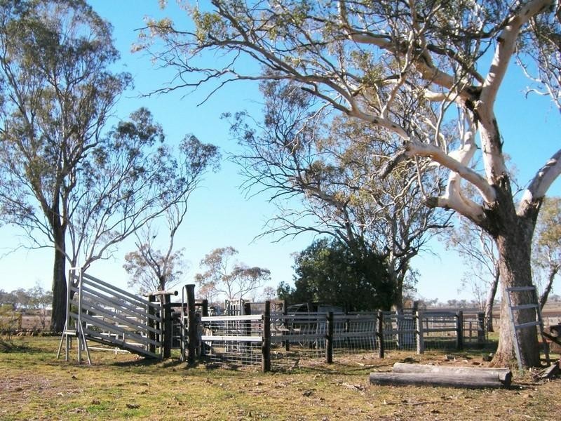 79 Ehrlich Rd Linthorpe, Pittsworth QLD 4356