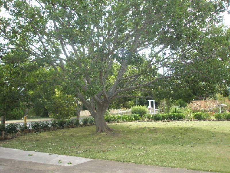 35 Briggs, Pittsworth QLD 4356