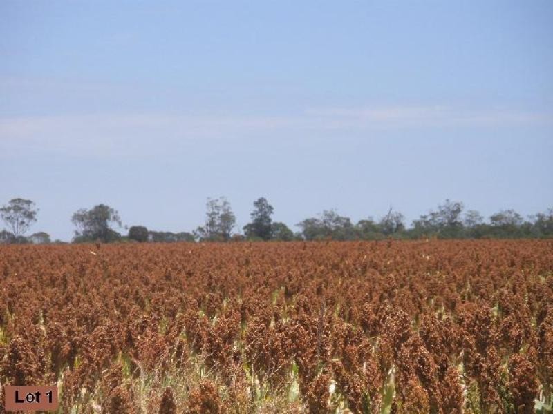 Yarranvale Gore Highway, Pittsworth QLD 4356