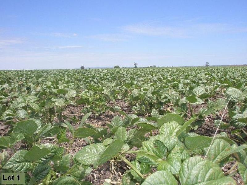 Yarranvale Gore Highway, Pittsworth QLD 4356