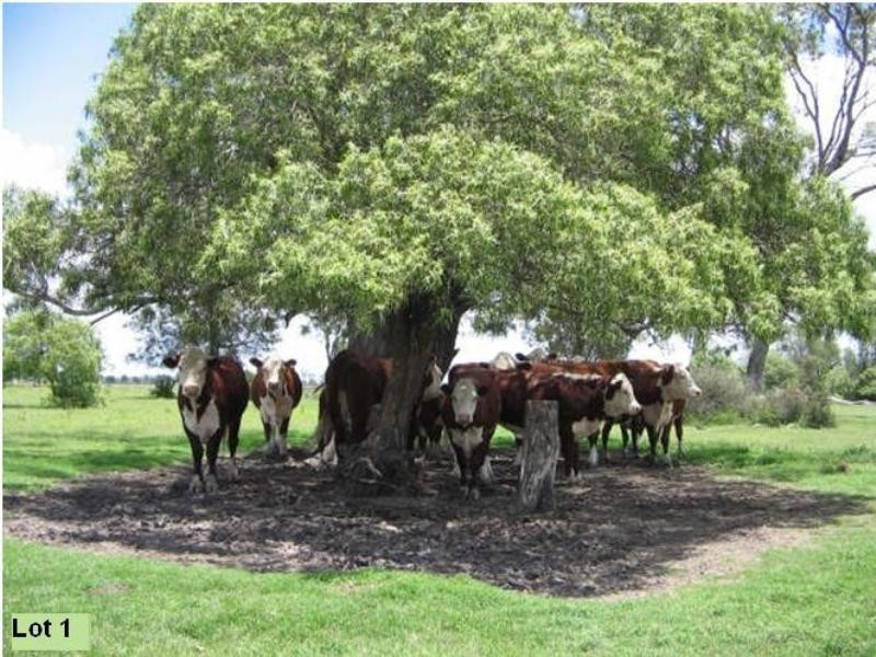 Yarranvale Gore Highway, Pittsworth QLD 4356