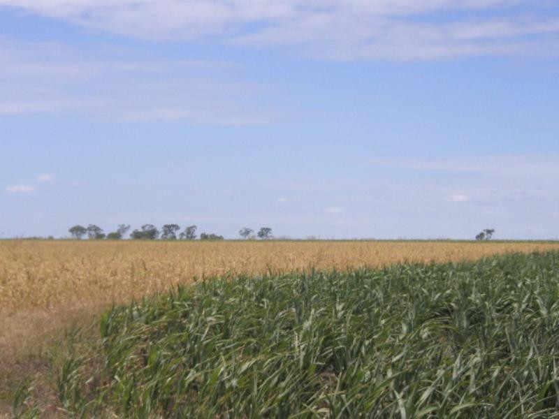 0 Mann Silo Road Brookstead, Pittsworth QLD 4356