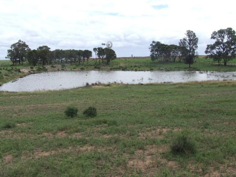 85 Lavelle Road, Millmerran QLD 4357