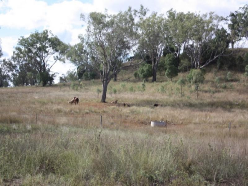 0 Stowers Road, Pittsworth QLD 4356