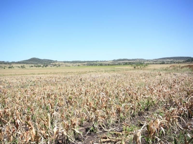 0 Rossvale properties, Pittsworth QLD 4356