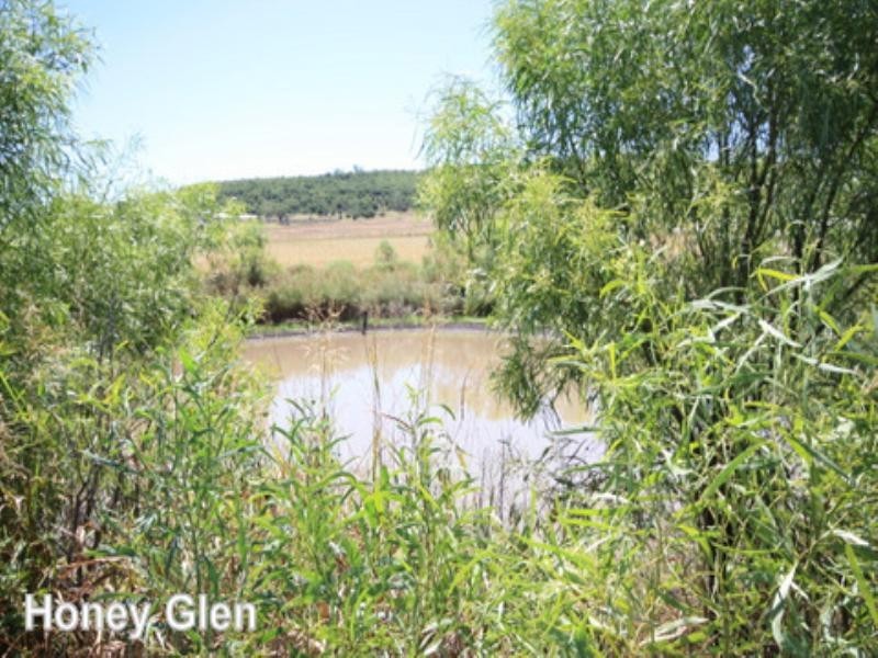 0 Rossvale properties, Pittsworth QLD 4356