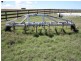0 Sullivan Road C/SALE, Pittsworth QLD 4356