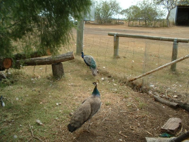 209 Cornford Road, Southbrook QLD 4363