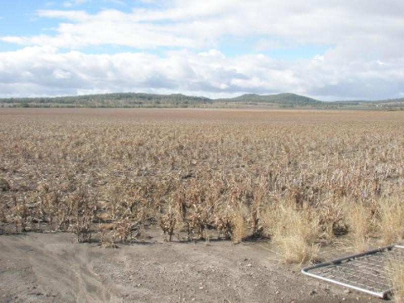 388 Rossvale West Road, Pittsworth QLD 4356