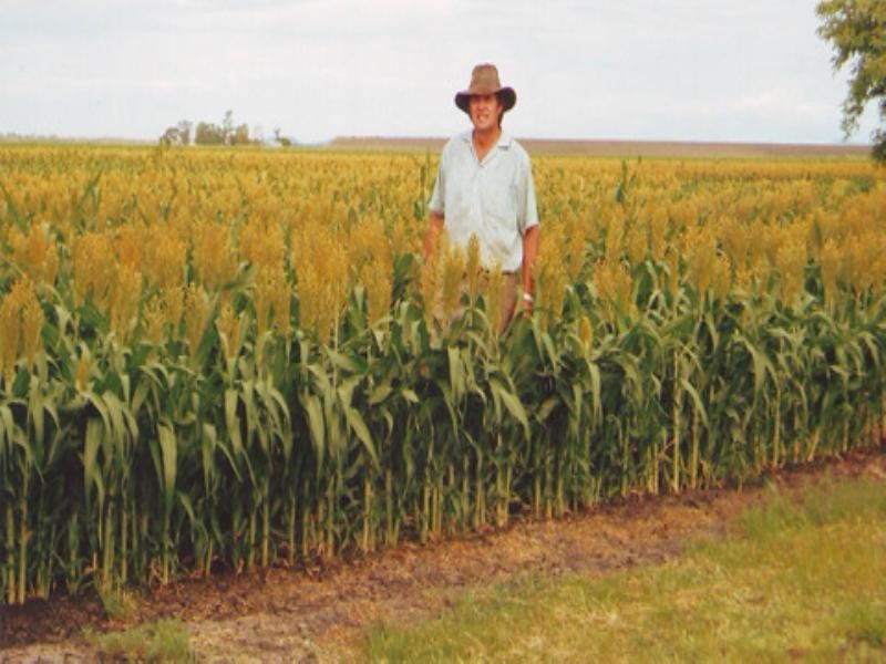 Lot 71 Pampas-Horrane Road, Cecil Plains QLD 4407