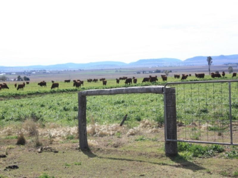 0 Old Elphinstone Road, Clifton QLD 4361