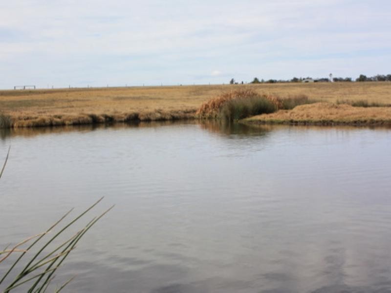 0 Old Elphinstone Road, Clifton QLD 4361