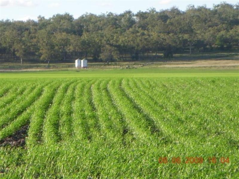 0 Pittsworth-Clifton Road, Pittsworth QLD 4356