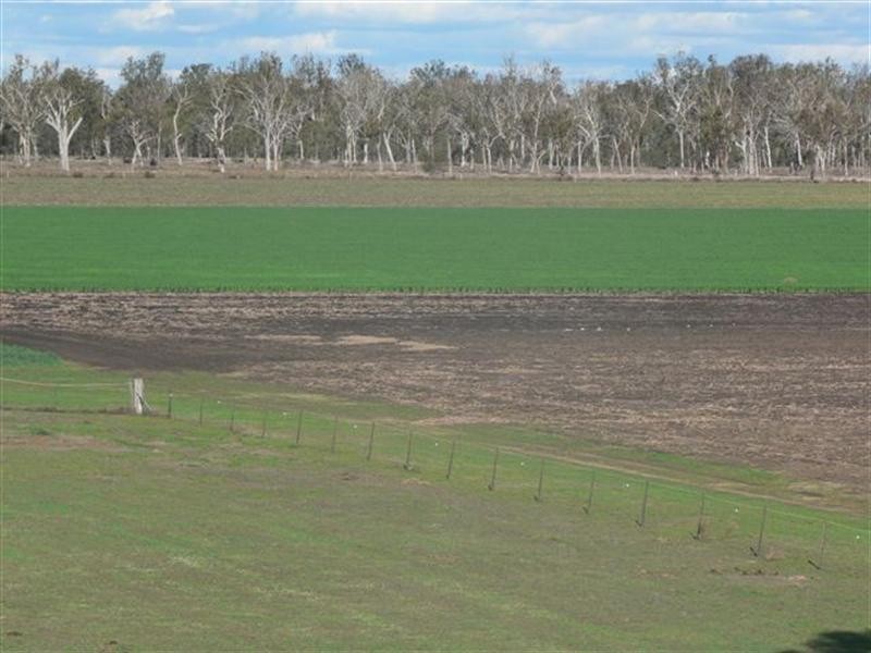 1 Springvale Road, Dalby QLD 4405