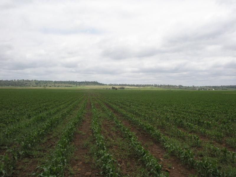 00 Oakey – Pittsworth Road, Oakey QLD 4401