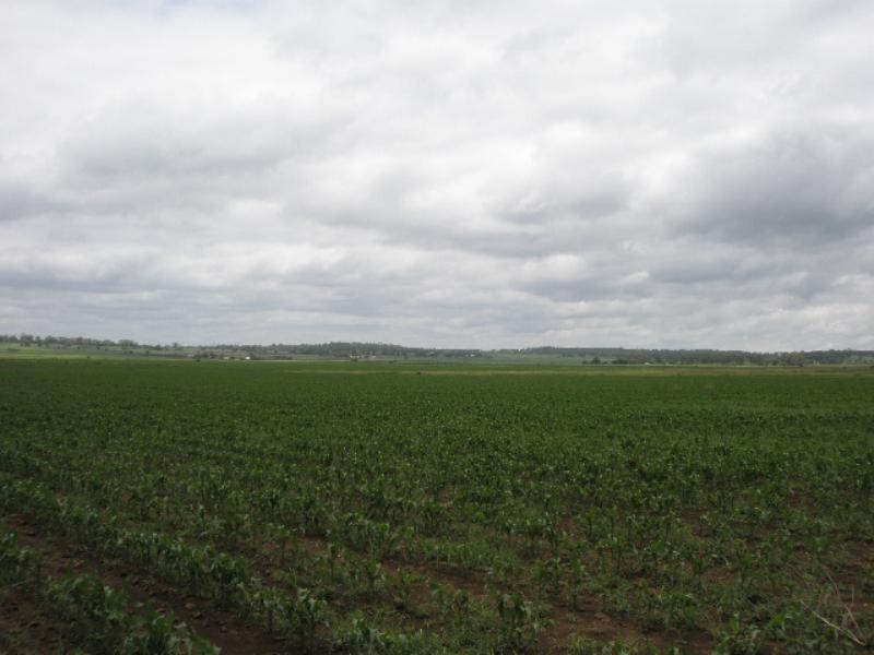 00 Oakey – Pittsworth Road, Oakey QLD 4401