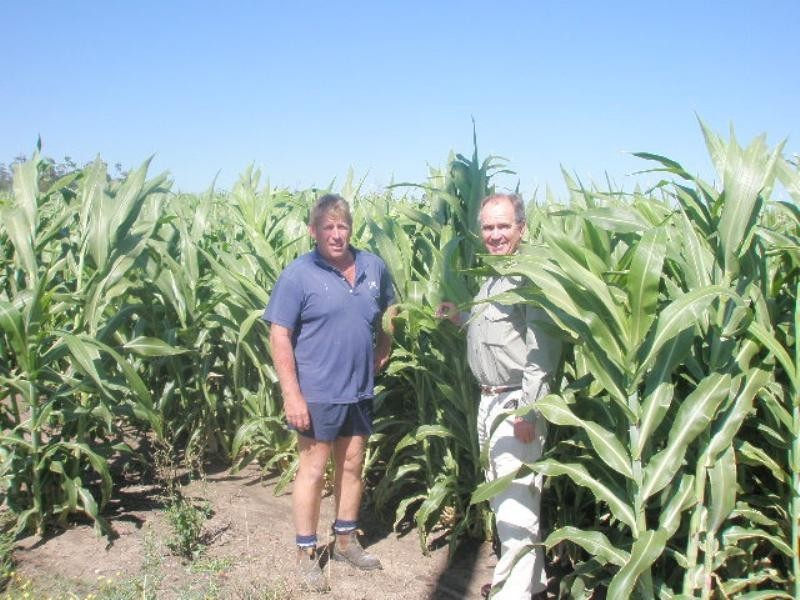 0 Heckles Road, Millmerran QLD 4357