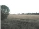 L5 Linthorpe Road, Pittsworth QLD 4356