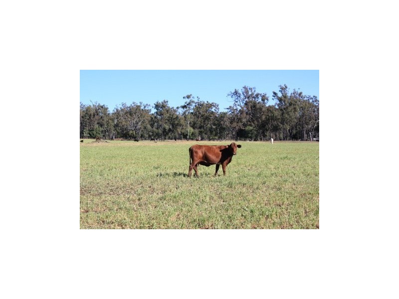 246 Roberts Road, Clifton QLD 4361