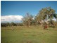 220 Hudsons Rd Southbrook, Pittsworth QLD 4356