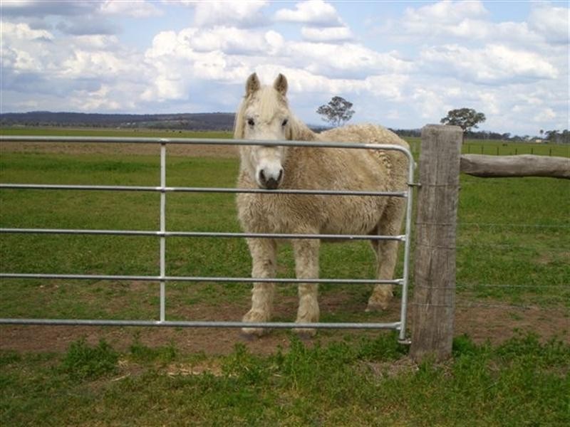 220 Hudsons Rd Southbrook, Pittsworth QLD 4356